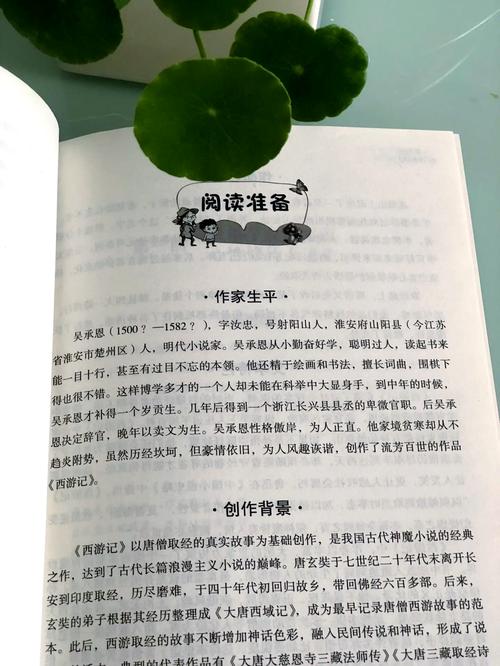 妙医圣手叶皓轩全文免费阅读5200章-叶皓轩林雨欣