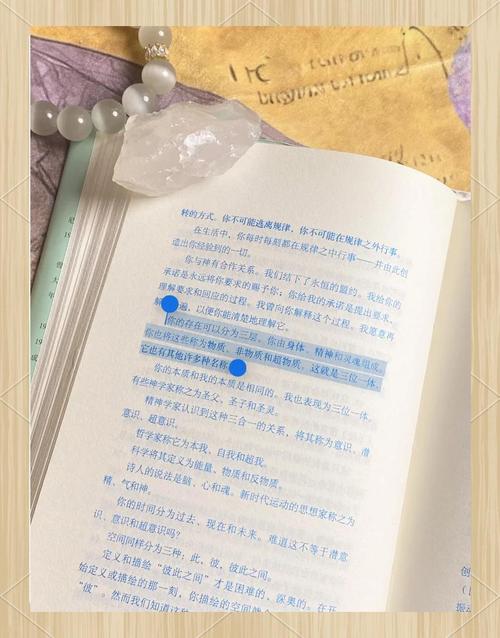 慈悲城在线全文阅读_无弹窗免费小说