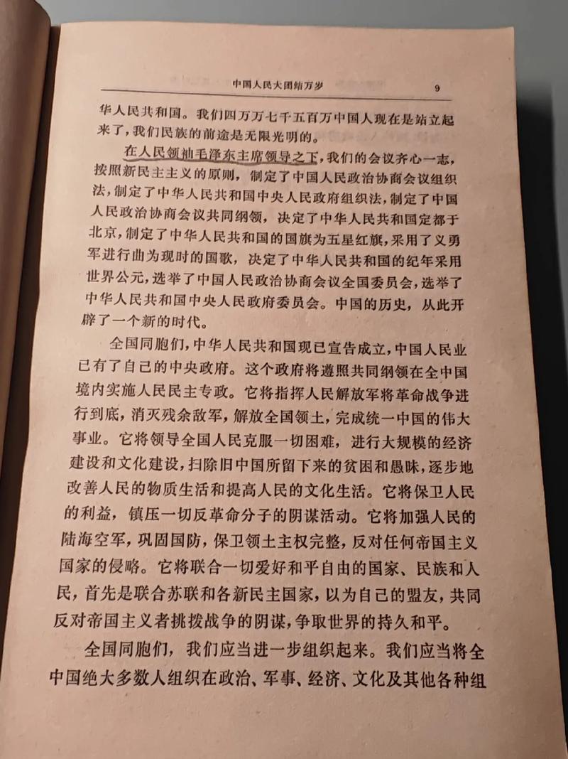 黑道邪皇全文阅读，热血黑道巅峰之作！