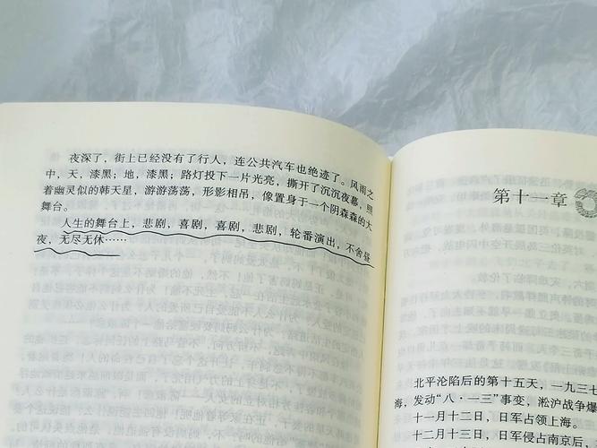 穆斯林的葬礼全文免费在线阅读 | 经典文学名著