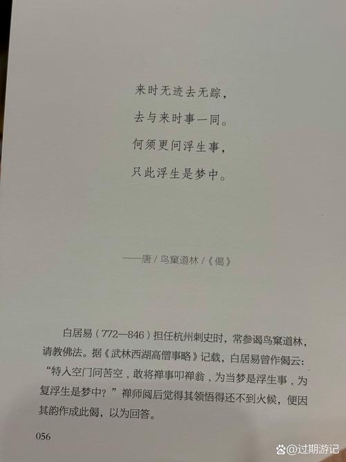 努努书坊 - 免费海量小说在线看，热门佳作任你读