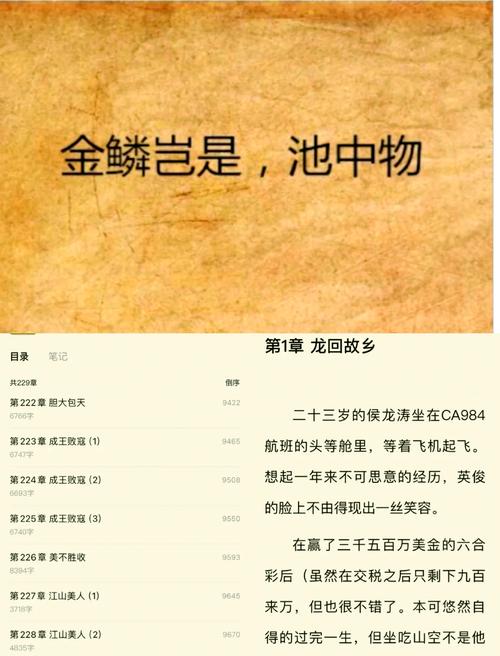 金麟岂是池物全文在线阅读 | 经典玄幻小说最新章节