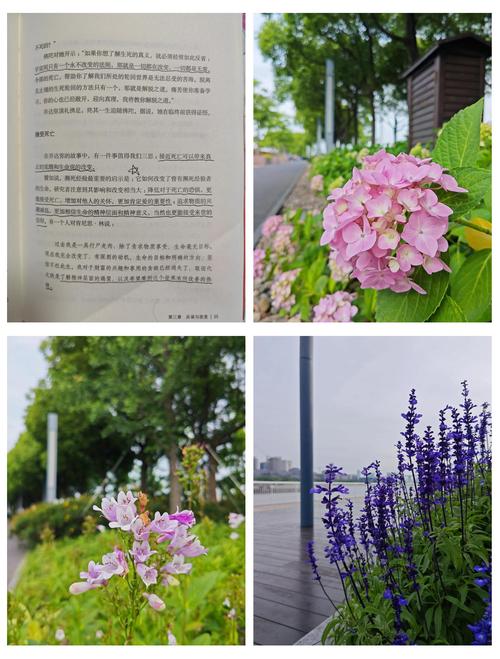 斗罗大陆4终极斗罗正版在线阅读,唐家三少力作