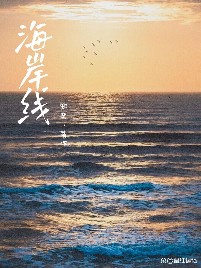 海岸线文学网：热门小说全文在线阅读，畅享海量经典作品