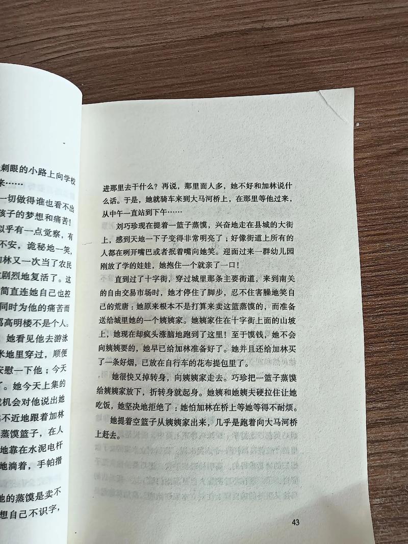 路遥《人生》在线阅读：高加林的命运抉择与时代悲歌