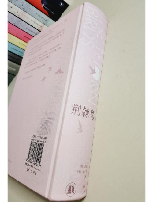 荆棘鸟在线阅读 | 经典爱情小说全文免费阅读