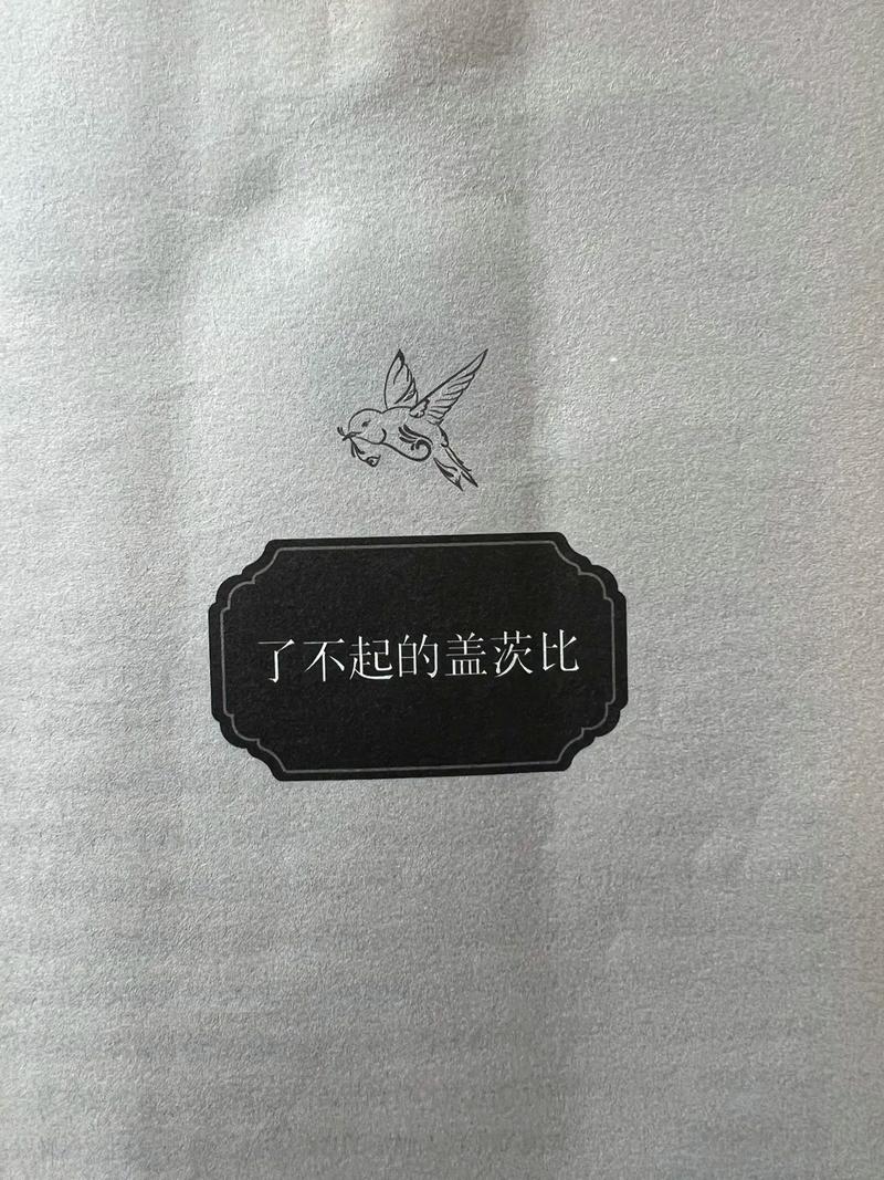 《了不起的盖茨比》在线阅读:经典菲茨杰拉德小说完整版