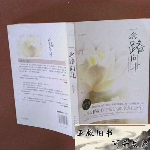 《一念路向北》全文在线阅读 | 一念路向北小说完整版