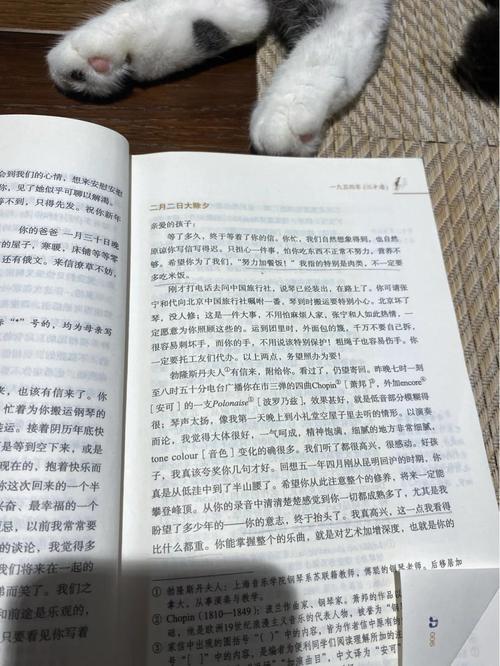 总裁爹地轻点爱全文免费阅读 - 热门小说在线阅读