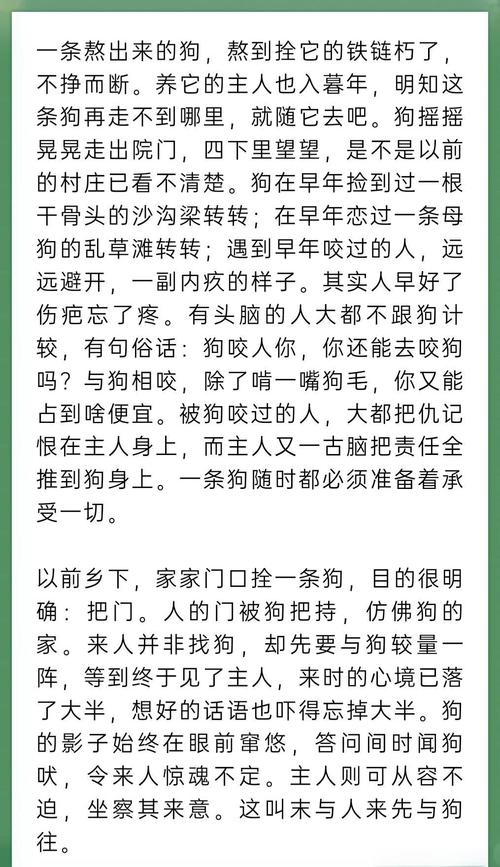 沧浪之水全文免费在线阅读 | 经典小说无弹窗