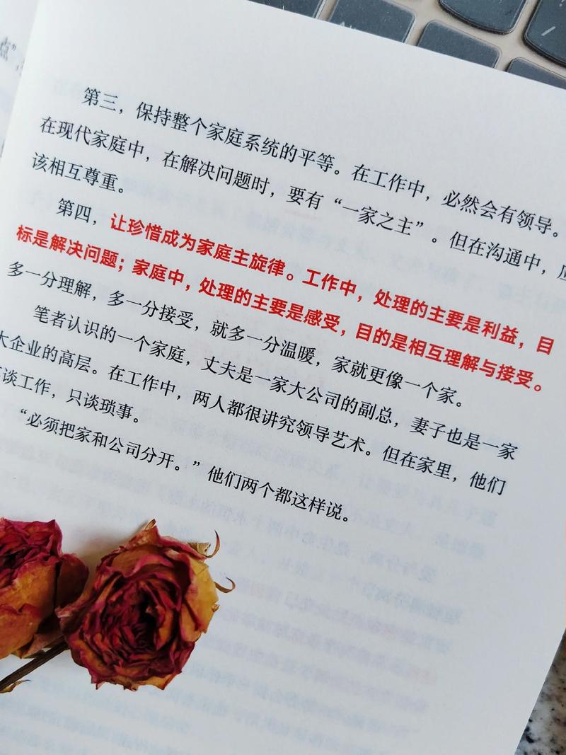 少年阿宾全文在线阅读 | 经典小说无删减版