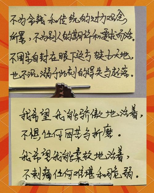 总要习惯一个人在线阅读 | 孤独成长与自我疗愈