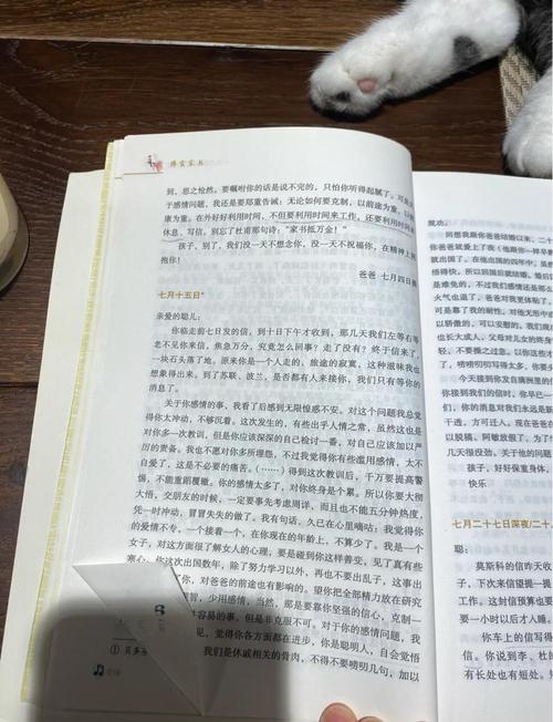 十宗罪4全文在线阅读｜悬疑罪案小说完整版